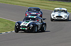 AC Cobra (1963) - im Feld des Shelby Cup am Goodwood Revival 2012