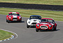 AC Cobra (1963) - im Feld des Shelby Cup am Goodwood Revival 2012 (© Bruno von Rotz, 2012) AC Cobra (1963) - im Feld des Shelby Cup am Goodwood Revival 2012 (© Bruno von Rotz, 2012)