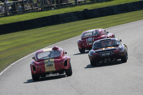 AC Cobra (1964) - Royal Automobile Club TT Cup - Goodwood Revival 2021