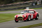AC Cobra (1964) - Royal Automobile Club TT Cup - Goodwood Revival 2021