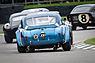 AC Cobra (1964) – Schlangenbeschwörung – Goodwood Revival 2025 (© Stuart Adams, 2025) AC Cobra (1964) – Schlangenbeschwörung – Goodwood Revival 2025 (© Stuart Adams, 2025)