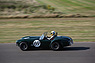 AC Cobra (1964) - im Feld des Shelby Cup am Goodwood Revival 2012 (© Bruno von Rotz, 2012) AC Cobra (1964) - im Feld des Shelby Cup am Goodwood Revival 2012 (© Bruno von Rotz, 2012)