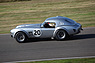 AC Cobra (1964) - im Feld des Shelby Cup am Goodwood Revival 2012 (© Bruno von Rotz, 2012) AC Cobra (1964) - im Feld des Shelby Cup am Goodwood Revival 2012 (© Bruno von Rotz, 2012)