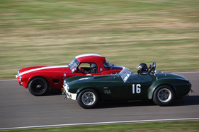 AC Cobra (1964) - im Feld des Shelby Cup am Goodwood Revival 2012