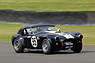 AC Cobra (1964) - im Feld des Shelby Cup am Goodwood Revival 2012 (© Bruno von Rotz, 2012) AC Cobra (1964) - im Feld des Shelby Cup am Goodwood Revival 2012 (© Bruno von Rotz, 2012)