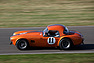 AC Cobra (1964) - im Feld des Shelby Cup am Goodwood Revival 2012 (© Bruno von Rotz, 2012) AC Cobra (1964) - im Feld des Shelby Cup am Goodwood Revival 2012 (© Bruno von Rotz, 2012)