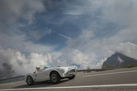 Bild AC Cobra (1965) - Bernina Granturismo Bergrennen 2020
