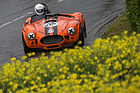 AC Cobra 427 Racing (1966) - GP Mutschellen 2016 (1966)