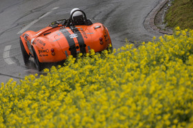 AC Cobra 427 Racing (1966) - GP Mutschellen 2016 (1966)