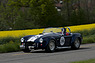 AC Cobra 427 SC Contemporary (1965) - im Feld der Sport- und Rennwagen aus der Nachkriegszeit am GP Mutschellen 2012 (© Balz Schreier, 2012) AC Cobra 427 SC Contemporary (1965) - im Feld der Sport- und Rennwagen aus der Nachkriegszeit am GP Mutschellen 2012 (© Balz Schreier, 2012)