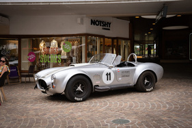 AC Cobra am Concours Eclectica