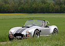 AC Cobra - am Treffen "American Live" 2012