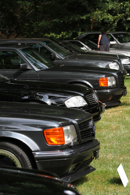AMG-Limousinen und Sportwagen in Reih' und Glied - Concours d'Elégance Suisse Coppet 2017
