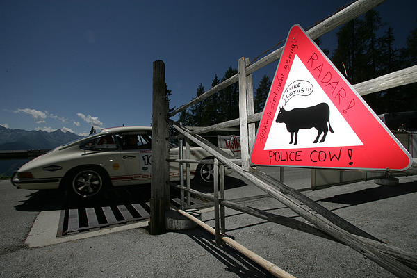 Achtung Lotus-liebende Polizei-Kühe!!!