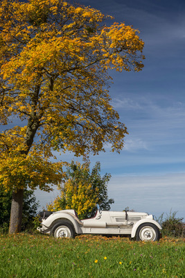 Adler Diplomat Geländesport (1935) -