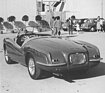 Heckansicht der Barchetta, fotografiert im Rahmen des Concorso d'Eleganza Campione d'Italia. Auf diesem Foto wie auch auf dem vorherigen wirkt der Lack deutlich dunkler.
