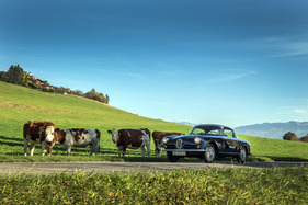 Alfa Romeo 1900 C Super Sprint (1956) - da hören sogar die Kühe auf zu fressen, wenn das elegante Coupé vorbeirauscht