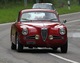 Alfa Romeo 1900 SS (1954) (© Bruno von Rotz, 2011) Alfa Romeo 1900 SS (1954) (© Bruno von Rotz, 2011)
