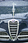 Alfa Romeo 1900 Super (1954) - mit Nummer E5 im Concours d'Elégance an der Schloss Bensberg Classics 2015 (© Bruno von Rotz, 2015)