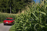 Alfa Romeo 2000 GTV (1973) - bereit zur Losfahrt (© Daniel Reinhard, 2020) Alfa Romeo 2000 GTV (1973) - bereit zur Losfahrt (© Daniel Reinhard, 2020)