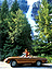 Alfa Romeo 2000 Spider (1978) - als Stahlräder noch chic waren (© Archiv Zwischengas, 1978) Alfa Romeo 2000 Spider (1978) - als Stahlräder noch chic waren (© Archiv Zwischengas, 1978)