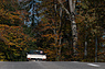 Alfa Romeo 2000 Spider (1978) - da wird es einem selbst bei spätherbstlichen Temperaturen warm ums Herz (© Balz Schreier, 2013) Alfa Romeo 2000 Spider (1978) - da wird es einem selbst bei spätherbstlichen Temperaturen warm ums Herz (© Balz Schreier, 2013)