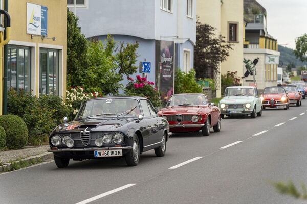 Alfa Romeo 2600 Coupé führt Kolonne an - Alfa Classic Wachau 2024