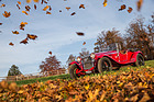 Alfa Romeo 6C 1750 Gran Sport Zagato (1930) - die Blätter fallen, aber der 6C blüht auf