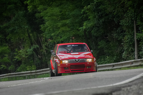 Alfa Romeo 75 Turbo Evoluzione IMSA (1987) (1987)