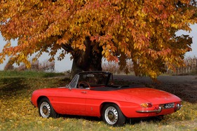 Alfa Romeo Duetto Spider - von Tintenfischen und schweren Erbschaften