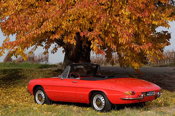 Alfa Romeo Duetto 1750 Spider Veloce (1969) - die Form des Hecks erinnerte an einen Tintenfisch