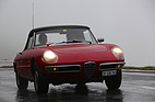 Alfa Romeo Duetto Spider (1966) - am Klausenrennen Prolog 2012