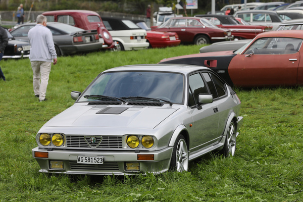 Alfa Romeo GTV 6 (1986) - tief im Gras eingeparkt - FNA Jahrestreffen 2025