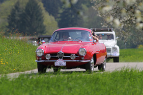 Alfa Romeo Giulia 1600 Sport Speciale (1964) - am Treffen italienischer Oldtimerautos Italiauto 2013