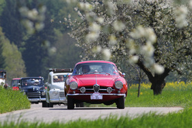 Bild Alfa Romeo Giulia 1600 Sport Speciale (1964) - am Treffen italienischer Oldtimerautos Italiauto 2013
