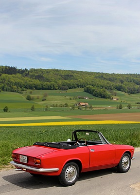 Alfa Romeo Giulia GTC (1966) - so verliessen die offenen Versionen die Carrozzeria Touring