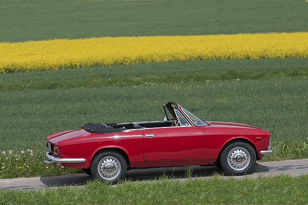 Alfa Romeo Giulia GTC (1966) - wirt gestreckter und eleganter als die geschlossene Variante