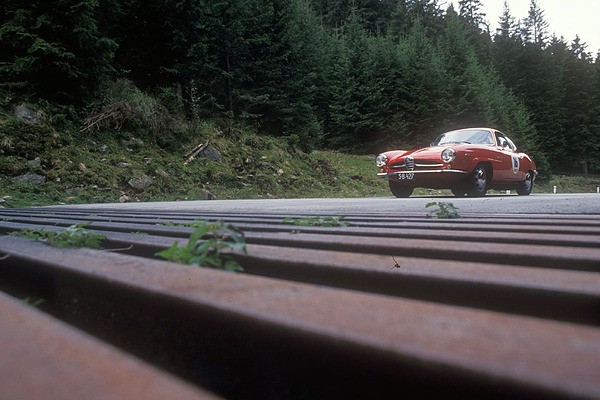 Alfa Romeo Giulia SS (1964) - Weidroste sind unübliche Rallye-Sonderprüfungen - Erste Ennstal Classic 1993