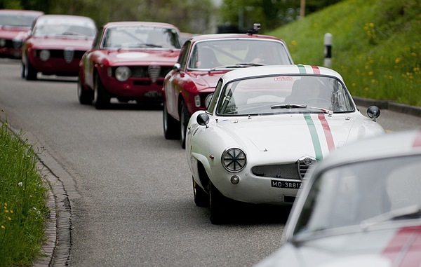 Alfa Romeo Giulia SS (1964) - bei der Rückführung des Feldes am GP Mutschellen 2012