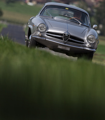 Alfa Romeo Giulia SS (1964) - sehr hübsche Frontgestaltung