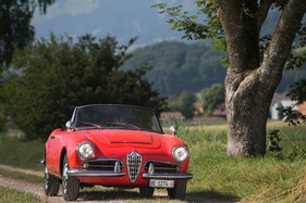 Alfa Romeo Giulia Spider 1600 (1962) - ein Gesicht zum Verlieben