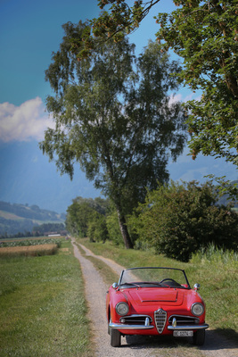 Alfa Romeo Giulia Spider 1600 (1962) - ein Traum für den Sommer