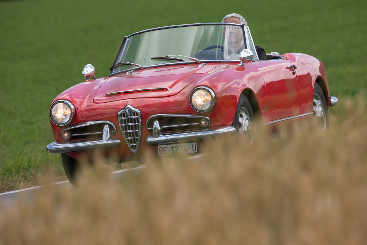 Alfa Romeo Giulia Spider 1600 (1962) - eine der hübschesten Frontansichten der Sechzigerjahre