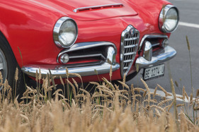 Alfa Romeo Giulia Spider 1600 (1962) - eine erfolgreiche Züchtung
