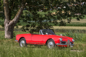 Alfa Romeo Giulia Spider 1600 (1962) - mit 3,9 Metern kurz und kompakt Alfa Romeo Giulia Spider 1600 (1962) - mit 3,9 Metern kurz und kompakt