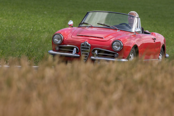 Alfa Romeo Giulia Spider 1600 (1962) - mit den 92 PS war man damals fast so schnell wie ein BMW 507
