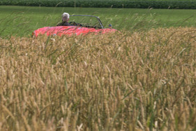 Alfa Romeo Giulia Spider 1600 (1962) - mit der Giulia wird man automatisch zum Naturfreund