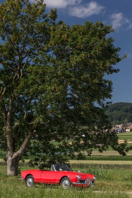 Alfa Romeo Giulia Spider 1600 (1962) - viel offener geht kaum