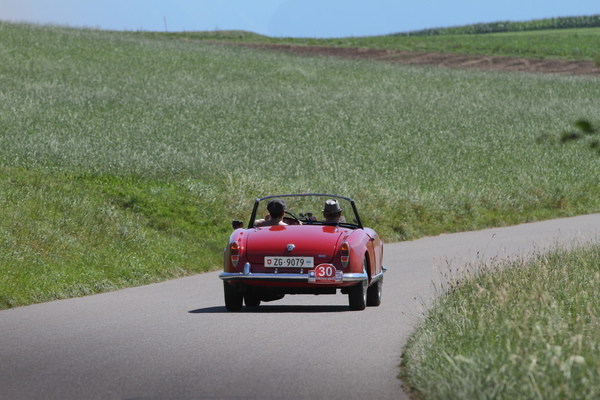 Alfa Romeo Giulia Spider (1963) - at the OCC Jungfrau Rally 2016