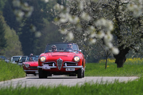 Alfa Romeo Giulia Spider (1964) - am Treffen italienischer Oldtimerautos Italiauto 2013